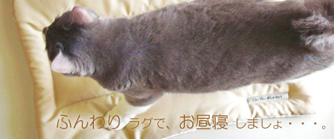�ͤ��ѥޥåȡ����������饰